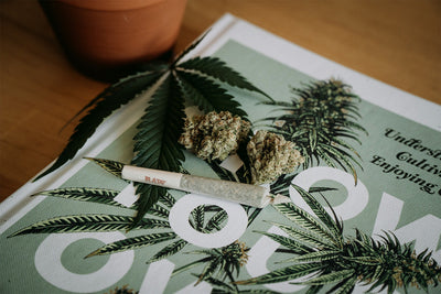 Cannabis Legalisierung: Wie sieht das neue Cannabisgesetz in Deutschland aus?