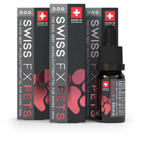 Sparpaket mit 3x SWISS FX CBD Öl für Hunde mit Rind-Geschmack