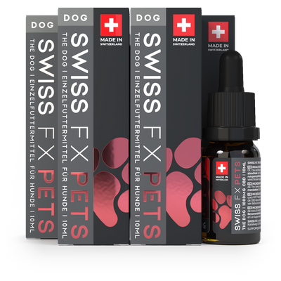 4x CBD Öl Hund Lachs (10% CBD)